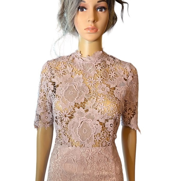 Windsor Blush Pink Lace Cocktail Special Occasion Sheath Medium Dress - Picture 3 of 9